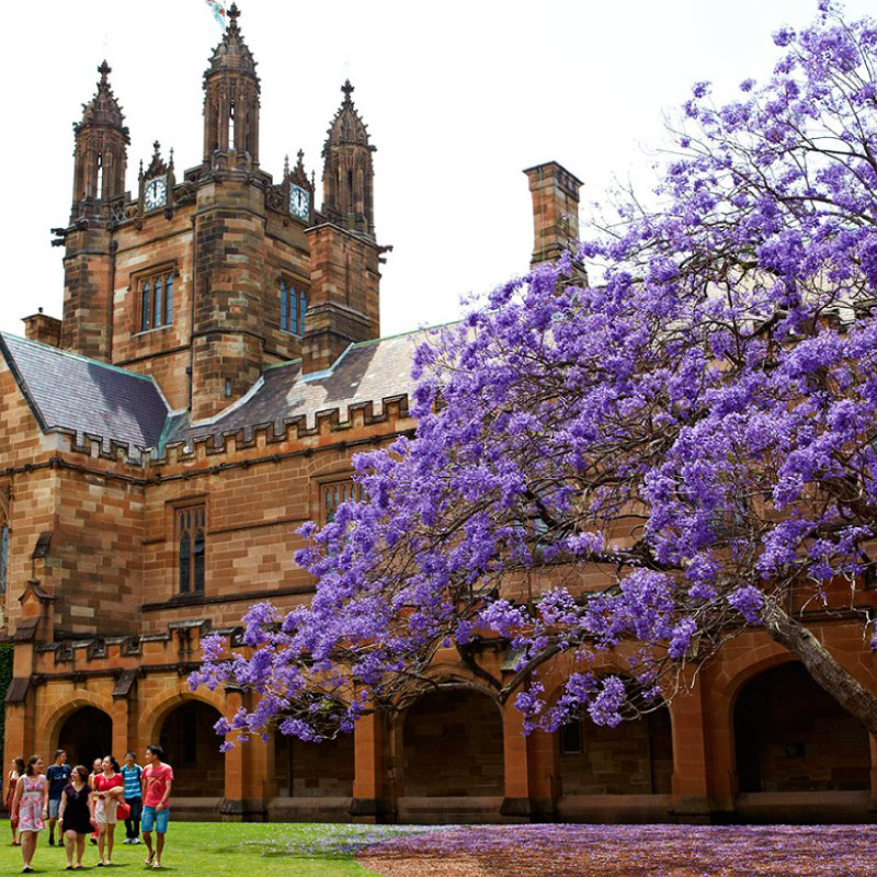 University of Sydney Centre for English Teaching