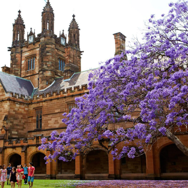 ¡Alejandro y su experiencia en la Universidad de Sydney, con la Beca de Movilidad! 