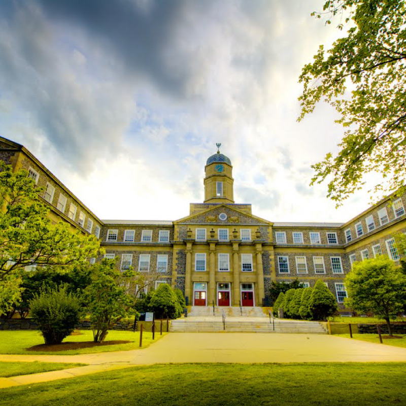 Dalhousie University