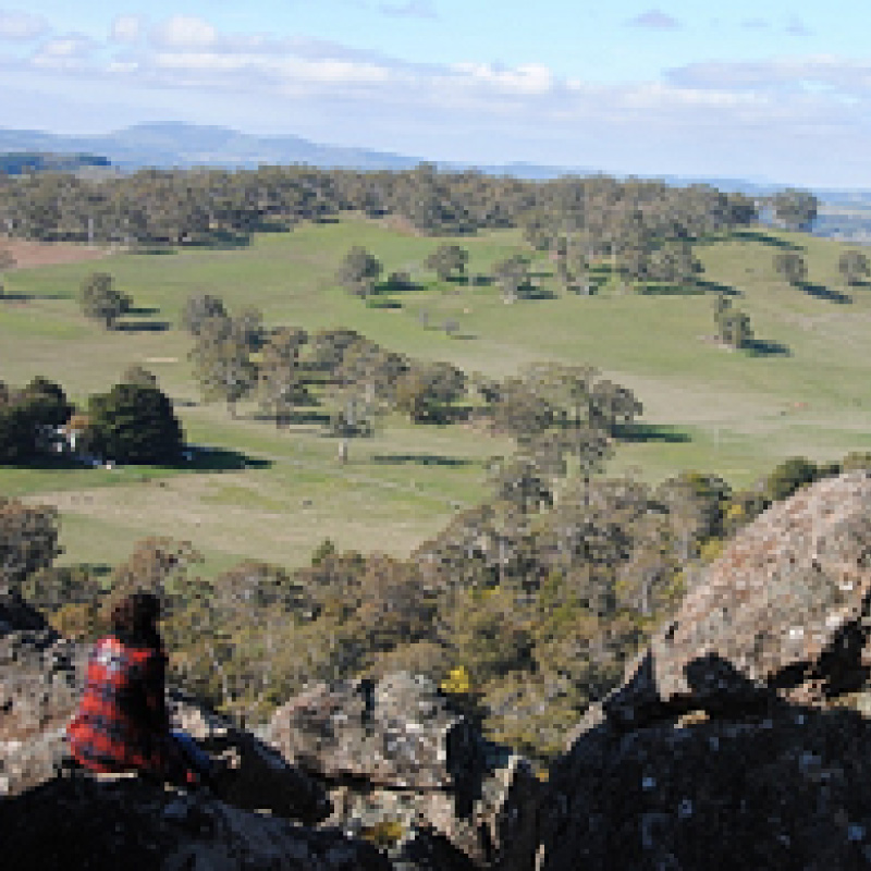 Maria Halbout Mi experiencia de venir a Australia