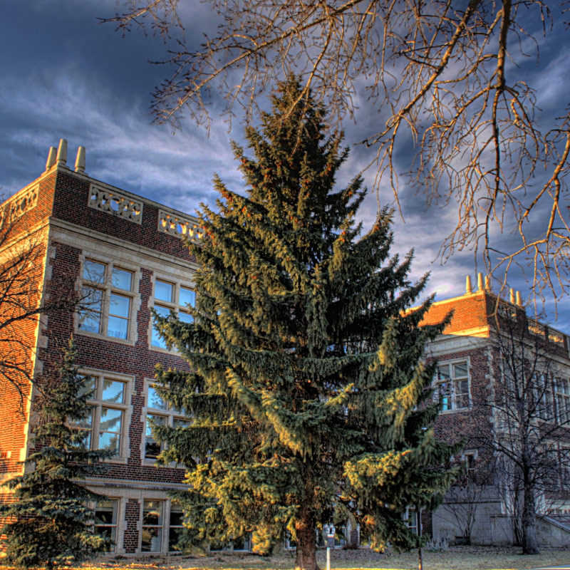 University of Alberta